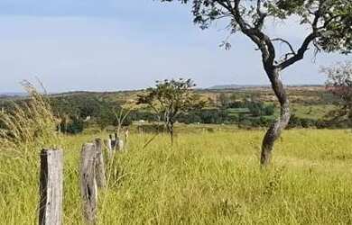 Imagem 12: Fazenda 3 quartos para Venda Amaral, Unaí