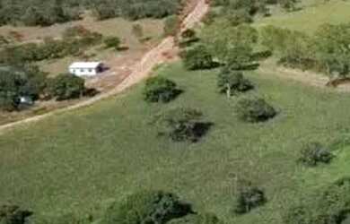 Imagem 2: fazenda de 159 hectares em Buritis, Minas Gerais