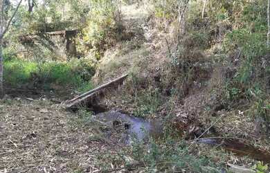 Imagem 15: Sítio à Venda, Floresta Escura, São Pedro, SP