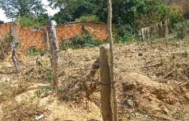 Imagem 2: Vende se lote 180m. 180m² de Área