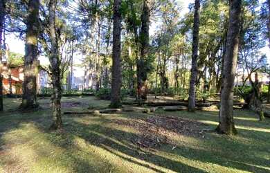 Imagem: O terreno possui 2526m² de Área e está localizado em Canela