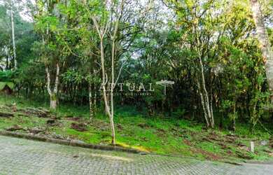 Imagem 3: TERRENO EM CONDOMÍNIO COM PROJETO APROVADO