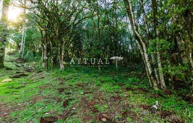 Imagem: O terreno possui 665m² de Área, Imóvel novo e está localizado