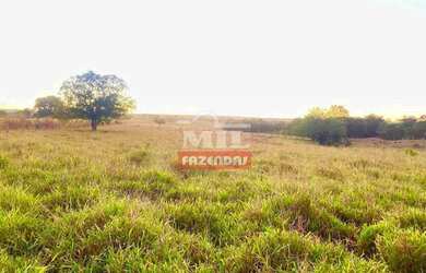 Imagem 7: Fazenda 68 alqueires 329 hectares Campos Verdes-GO