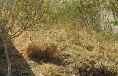 Imagem: O terreno possui 1m² de Área e está localizado em Loteamento