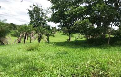 Imagem 5: Alugo Pasto Abadia de Goiás 3 Alqueire com água