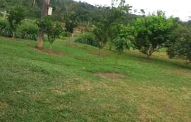 Imagem 8: Vende-se uma linda fazenda