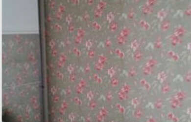 Imagem 3: AP0837 - Apartamento Maravilhoso com 2 quartos em cond. fechado na Freguesia/JPA