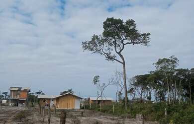 Imagem 2: Terreno. 300m² de Área
