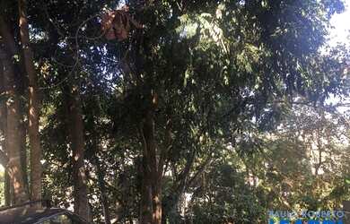 Imagem: O terreno possui 526m² de Área e está localizado em Jardim