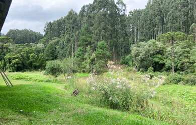 Imagem 8: Lindo terreno em Rio Rufino
