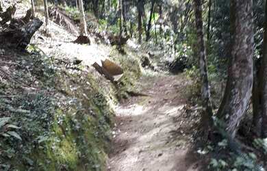 Imagem 3: Chácara Juquitiba- Miracatu