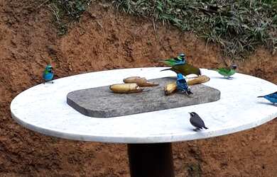 Imagem 11: Chácara Juquitiba- Miracatu