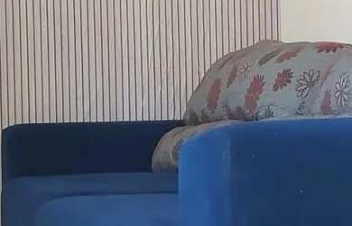 Imagem 10: Reserva Parque 3/4. Piscina, Churrasqueira, 60m² de Áreae1 Vaga na garagem