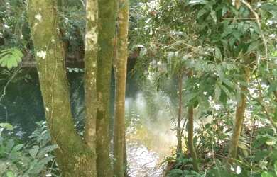 Imagem 12: Super lote pe na agua represa e acesso cachoeira 80 mil reais