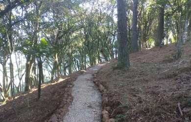 Imagem 10: Sitio - Bairro Santa Terezinha