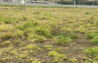 Imagem 5: Lote com 275m² no Condomínio Residencial Petit Trianon em Anápolis