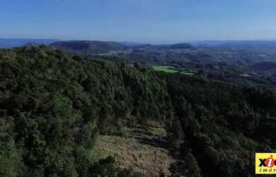 Imagem 4: Sítio / Chácara para Venda em Nova Petrópolis, Linha Imperial