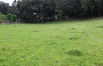 Imagem 9: Vendo chácara de 3,6 hectares na localidade da boca da serra