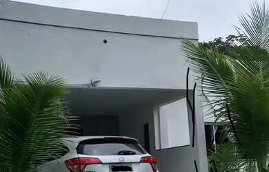 Imagem: A casa possui 2 Dormitórios, 2 Banheiros, 3 Vagas na garagem