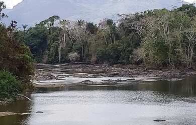 Imagem 3: VENDO FAZENDA 2988 hec ESCRITURADA REGIÃO DE AMAJARI RORAIMA 4250
