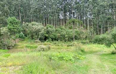 Imagem 3: Lindo terreno em Rio Rufino