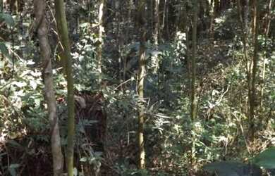 Imagem 1: Terreno em Ubatuba. 320m² de Área