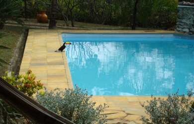 Imagem 2: Venda Commercial / Agricultural S o Jos Da Lapa MG