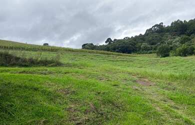 Imagem 2: Lindo terreno em Rio Rufino