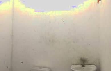 Imagem 10: GALPÃO - LIMÃO - SP. 240m² de Área