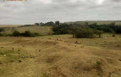 Imagem 4: Sítio, 26 mil m1 - Região de Porto Feliz SP