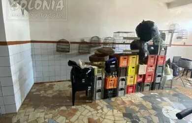 Imagem 4: Loja para locação - Jardim Ipanema, Santo André