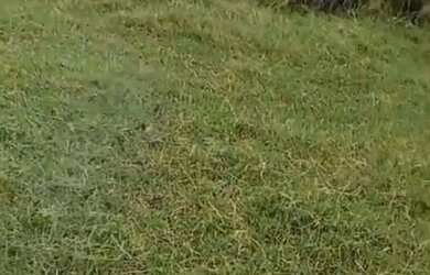 Imagem: O terreno possui 252m² de Área e está localizado em Realengo