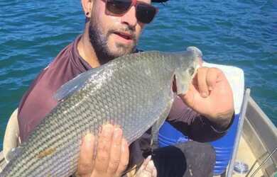 Imagem 5: Terreno em shangrila. 250m² de Área