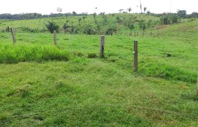 Imagem 10: Vende-se uma linda fazenda