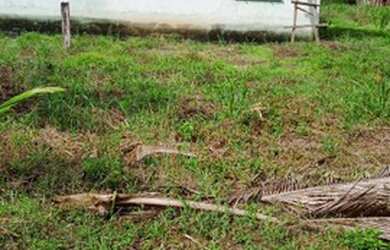 Imagem 1: Vendo um terreno. 2 Banheirose2 Dormitórios