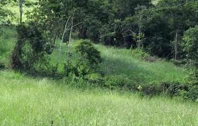 Imagem 13: Fazenda no município de Santa Cruz de Goiás com 83 alqueires para cria...