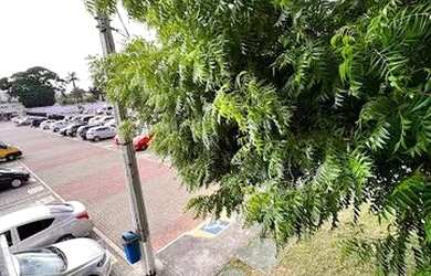 Imagem 7: Alugo com Taxas inclusas. Piscina, 50m² de Área, 1 Vaga na garageme2...