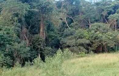 Imagem 4: Oportunidade de terreno de 69000 m2 em Nazaré Paulista