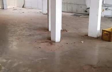 Imagem 7: Loja freguesia rua Tirol casa comercial 180m2 com 3 salas 3 banheiros