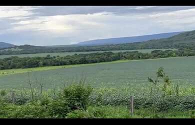 Imagem 4: Vende-se uma excelente fazenda