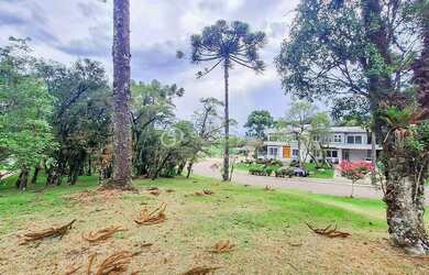 Imagem 2: TERRENO ESQUINA À VENDA ALTOS PINHEIROS/ CANELA