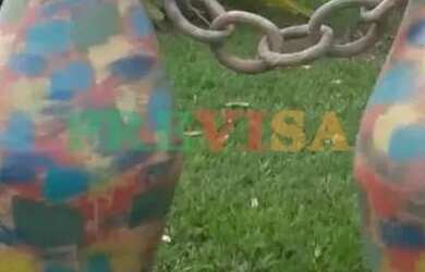 Imagem 10: Fazenda / Sítios / Chácaras com 6 quartos à venda em Três Marias