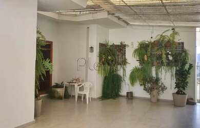 Imagem 11: Casa para alugar em Campinas, Nova Campinas, com 3 quartos, com 355 m²