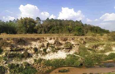 Imagem 14: Sítio à Venda, Floresta Escura, São Pedro, SP