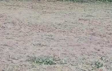 Imagem: O terreno possui 200m² de Área e está localizado em Terra