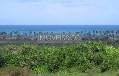 Imagem: A fazenda possui 65.000.000m² de Área e está localizado