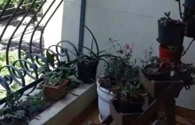 Imagem 11: APARTAMENTO - VILA LEOPOLDINA - SP