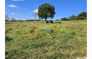 Imagem 2: CHÁCARA À VENDA BUARQUE DE MACEDO