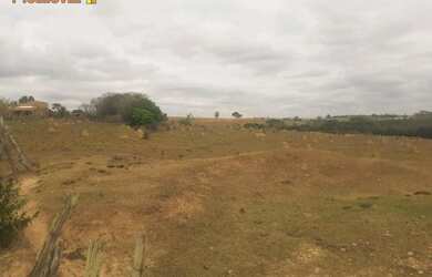 Imagem 11: Sítio, 26 mil m1 - Região de Porto Feliz SP